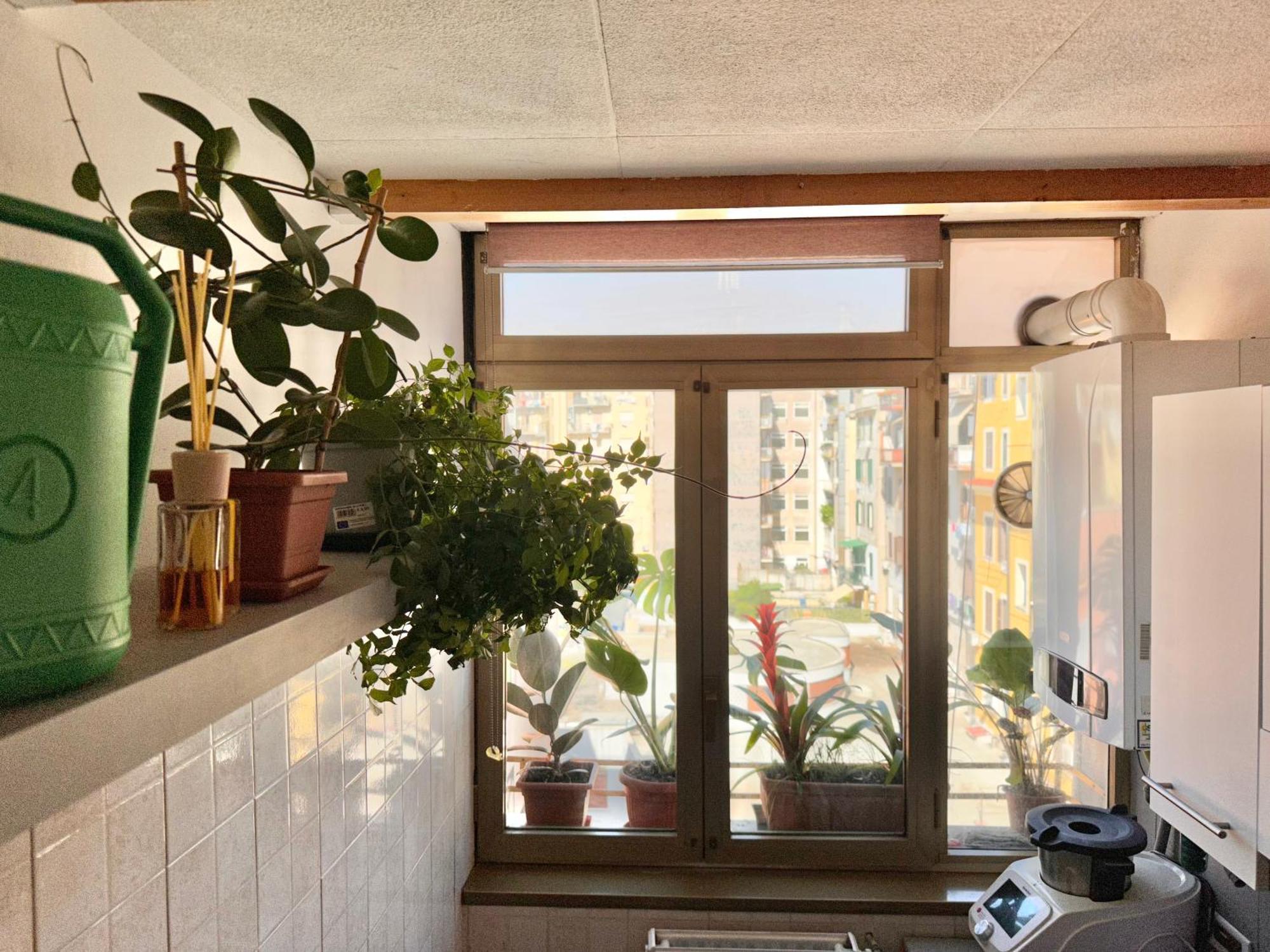 Appartement Grimaldi House